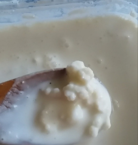 Imagen 2 de 3 de Nodulos De Kefir Listos Para Cosechar