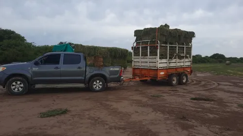 Acoplado Jaula 3 Metros Carro Vaquero Trailer Desmontable