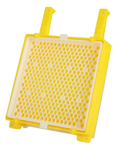 Kit De Sistema Apícola Para La Cría De Abejas Reinas
