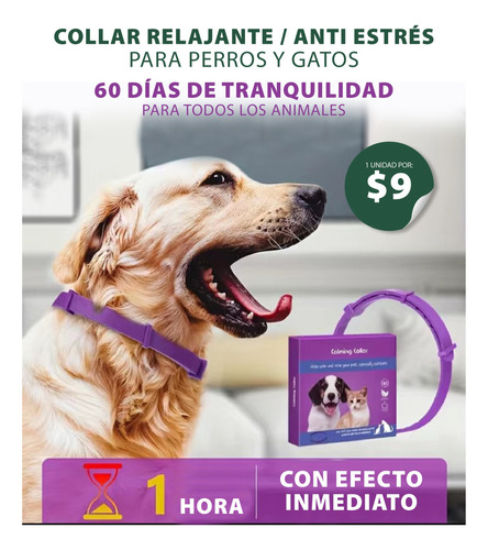 Collar Relajante Para Perros Y Gatos / 2 Meses 