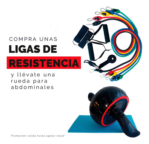 Ligas De Resistencia Premium (45kg) + Rueda Para Abdominales