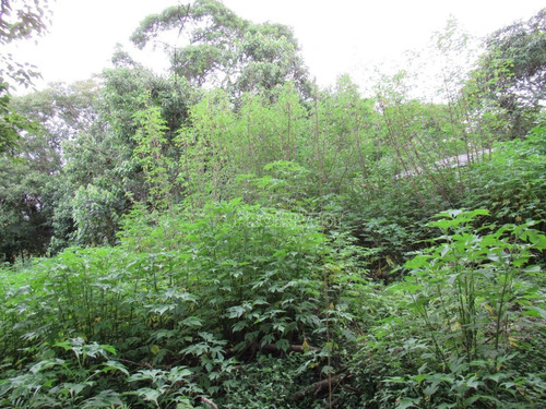 Imagem 2 de 6 de Granja Viana Jardim Colibri - Cotia/sp - Te9313