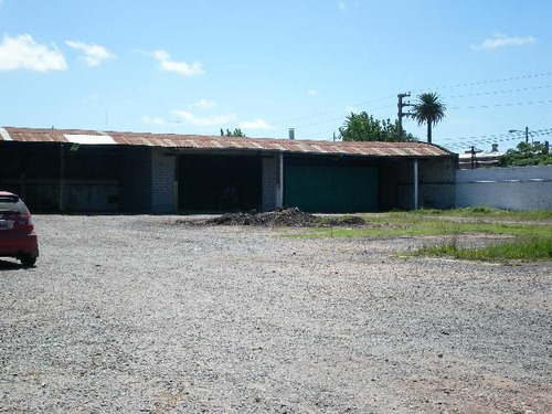 Imagen 3 de 13 de Venta Deposito 3.000 M2 Cub. - Tigre