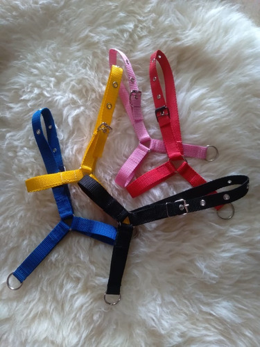 Cabresto De Mini Pônei