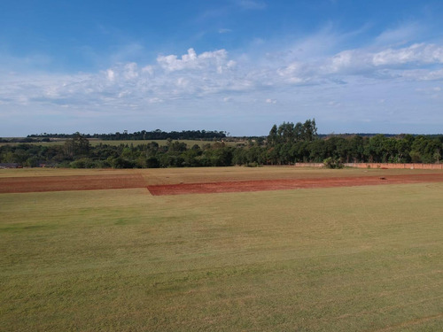Imagem 6 de 11 de Chácara À Venda, 3240 M² Por R$ 350.000,00 - Imóvel Cataratas - Gleba Ii - Foz Do Iguaçu/pr - Ch0014