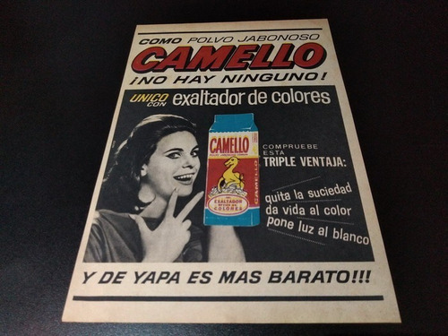 (pb200) Publicidad Clipping Polvo Jabonoso Camello * 1964