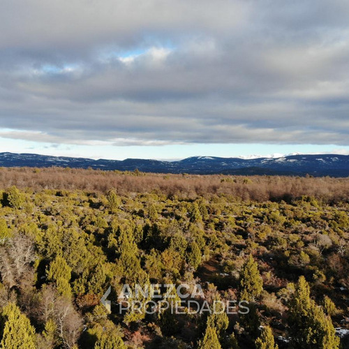Campo De 8 Hectáreas - Costa Lago Lezama - Cholila