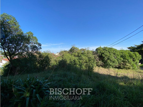 Venta De Lote En Ostende Calle Moreno