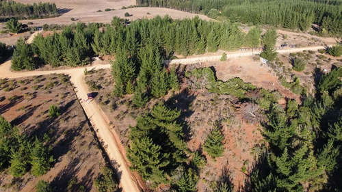 Parcela En Venta En Pichilemu