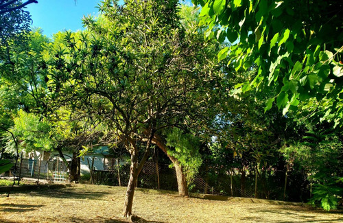 Imagen 2 de 7 de Casa En Venta En Conchillas - Oportunidad De Inversion