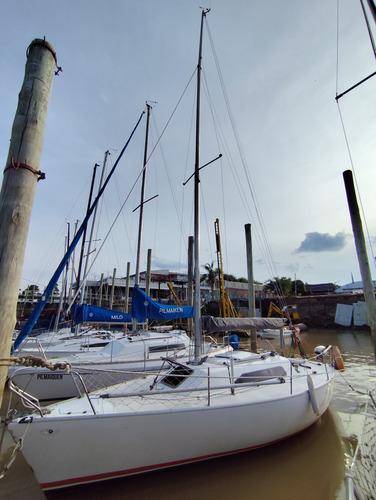 Velero Holland 26