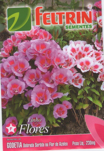 Sementes De Godetia Dobrada Sortida/flor Azaléia 0,23g Feltr | MercadoLivre
