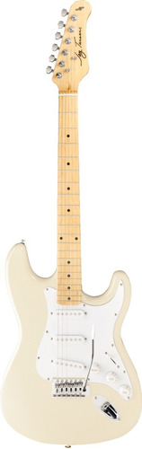 Guitarra Eléctrica Stratocaster Jay Turser Jt-300m-iv