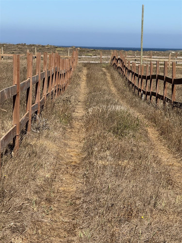 Venta Sitio En Condominio En Arcos De Calan Pelluehue