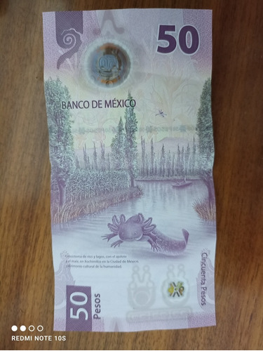 Billete 50 Pesos Ajolote Serie Ab
