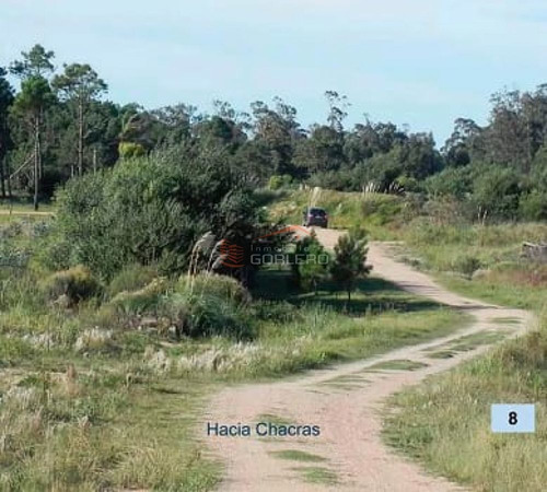 Imagen 11 de 26 de Terreno En Venta En Rocha, Zona De Punta Del Diablo, Bosque De La Viuda