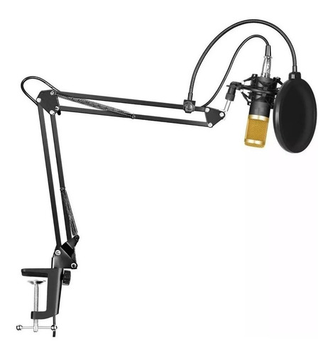 Microfono Condensador Bm800 Brazo Soporte Antipop Estudio Pc