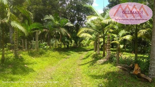 Imagem 4 de 15 de Sítio / Chácara Para Venda Em Peruíbe, Aliança, 2 Dormitórios, 1 Suíte, 1 Banheiro, 2 Vagas - 0831/2021_2-1217513