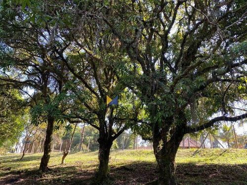 Imagem 8 de 30 de Chácara Com 3 Dormitórios À Venda, 36000 M² Por R$ 3.000.000 - Chácara Ipês - Caçapava/sp - Ch0004