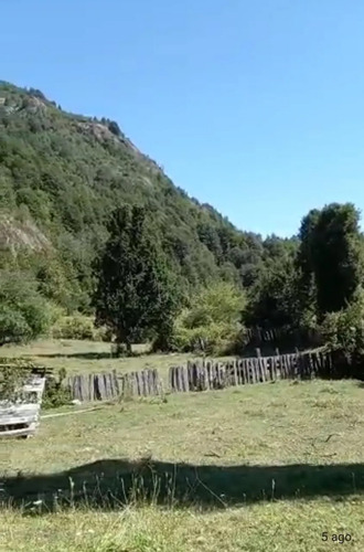 Campo Sector Huerquehue, Termas Rio Blanco