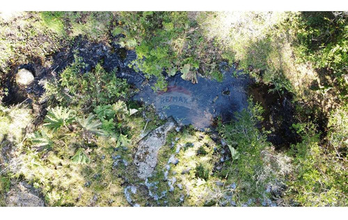 Plot In Pucón, Los Riscos Safe Investment