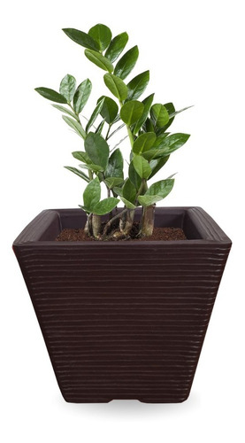 1 Vaso De Planta P/ Sala Jardim Varanda Polietileno Q 30x30