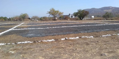Imagen 9 de 14 de Terrenos En El Centro De Tequesquitengo Facilidades De Pago