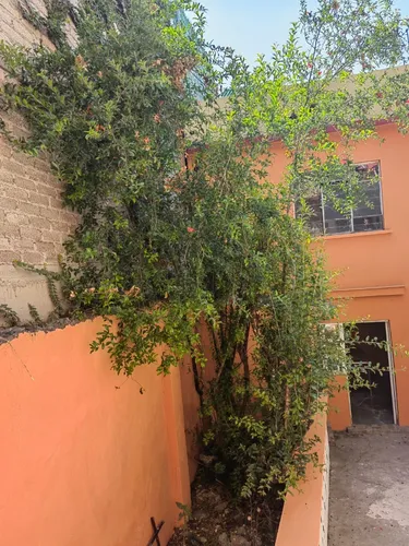 Casa En Venta, Para Inversión.