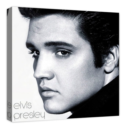 Cuadro Decorativo Canvas Moderno Elvis Presley 4 Color Natural Armazón Natural