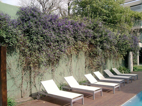 Imagen 9 de 10 de Jardinera Sistemas De Riego Paisajismo Diseños