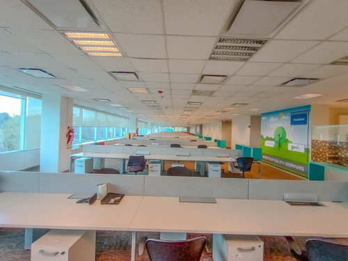 Imagen 28 de 30 de Oficinas En Alquiler 2120 M2 En Edificio Lumina Thames San Isidro, Certificacion Leed Green Buiding