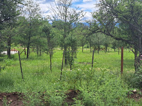 Vendo Lote 600 Mts En Santa Rosa De Calamuchita