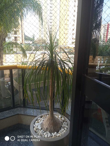 Imagem 8 de 30 de Belíssimo Apartamento Para Locação Com 132m² No Edifício Residencial Ilha Do Sol, Jardim Anália Franco, São Paulo, Sp - Sp - Ap4024_prst