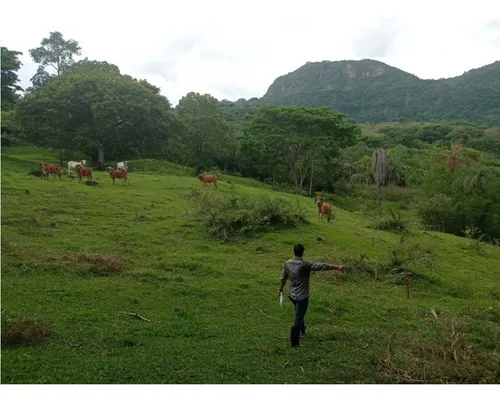 Vendo Lotes En La Pintada Con Vista A Farallones Desde 2.703 M²
