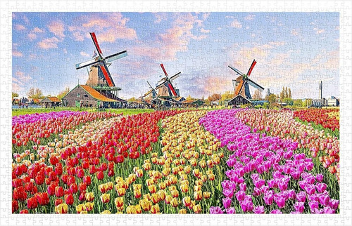 Rompecabezas Campo De Flores Holanda 1000 Piezas Pintoo