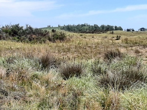Imagen 4 de 12 de Terrenos De 4,5 Hectareas Cerca Del Mar Zona Mar Azul