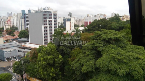 Imagem 5 de 23 de Sala À Venda Em Vila Itapura - Sa000950