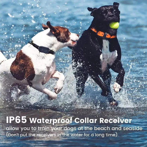Collar Electrónico Para Perros Con Un Alcance De 800 Metros