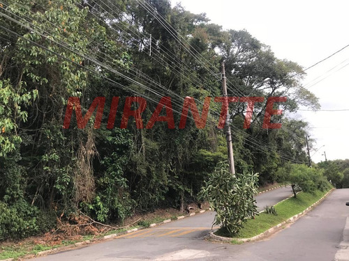 Imagem 4 de 5 de Terreno Em Serra Da Cantareira - São Paulo, Sp - 320719
