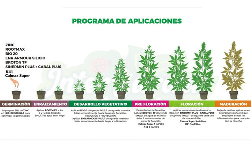 Imagen 2 de 3 de Kit Completo Para Autocultivo. Flores Con Más Resina