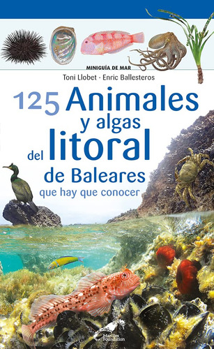 125 Animales Y Algas Del Litoral De Baleares Que Hay Que Conocer, De Ballesteros Sagarra, Enric., Vol. 0. Editorial Cossetania Edicions, Tapa Blanda En Español, 2023