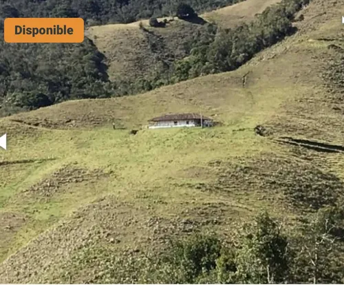 Bloque De 123 Hectareas Para Aguacate Hass En Abejorral