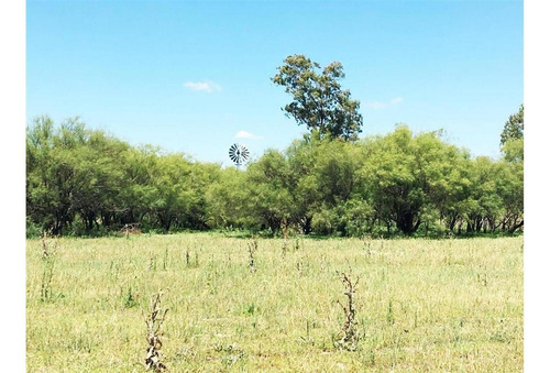 Imagen 11 de 15 de Campo En Quemu Quemu La Pampa