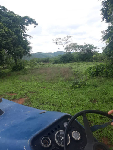 En Venta Finca En San Carlos Cojedes Asesor Carlos Daniel