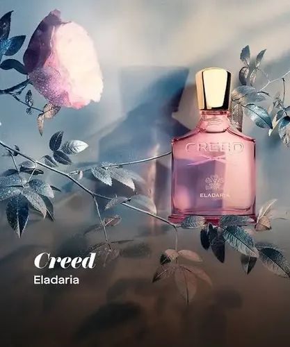 Perfume Creed Eladaria Edp 75ml Exclusivo | Parcelamento sem juros