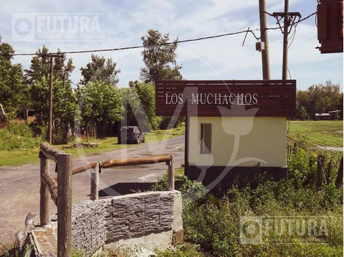 Imagen 9 de 15 de Barrio Abierto Los Muchachos - Piñero