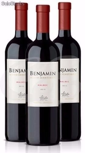 Vino Benjamín Nieto Malbec X750cc Solo Envios