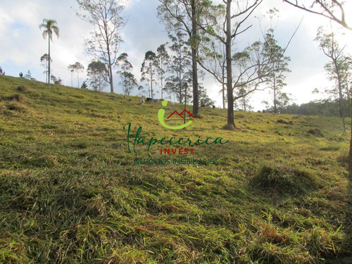 Imagem 12 de 24 de Sítio A Venda Chácara Da Lagoa - Vch0602