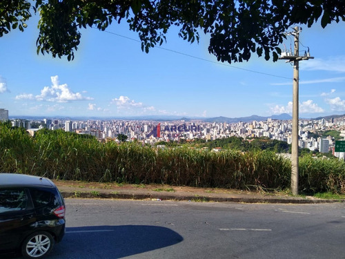 Imagem 14 de 16 de Terreno 4000 M² São Bento (bh) Venda - 11015