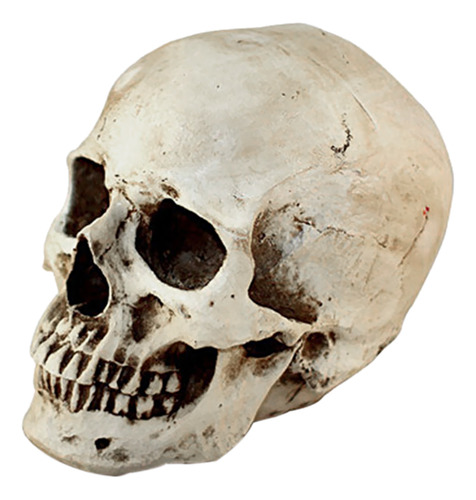 Lifesize 1: 1 Prop Model White Human Resin